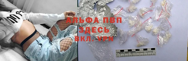 шишки Абаза
