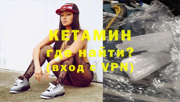 шишки Абаза