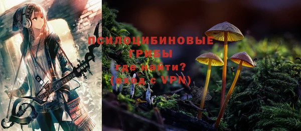 СК Абдулино