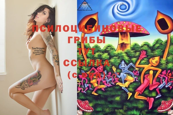 амф Абинск