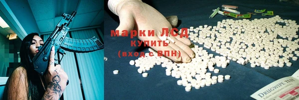 шишки Абаза